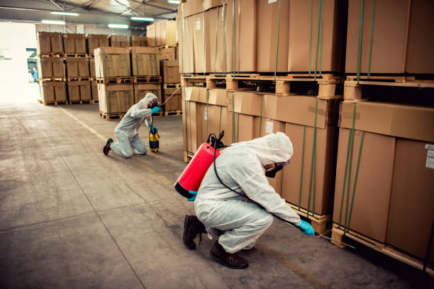 Best Flea Control Services  in Ackerman, MS