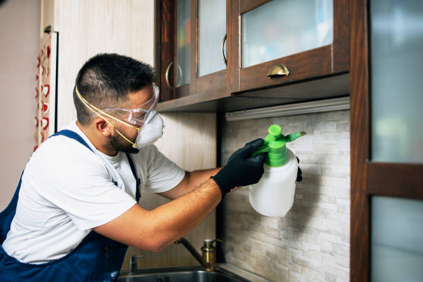 Best Termite Control Services  in Ackerman, MS