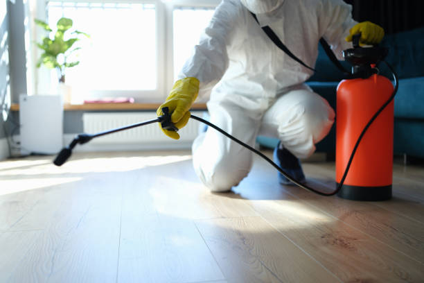 Best Wasp Removal Services  in Ackerman, MS